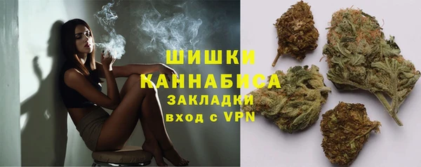 сатива Волоколамск