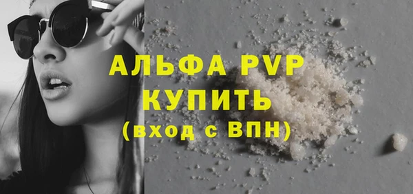 сатива Волоколамск