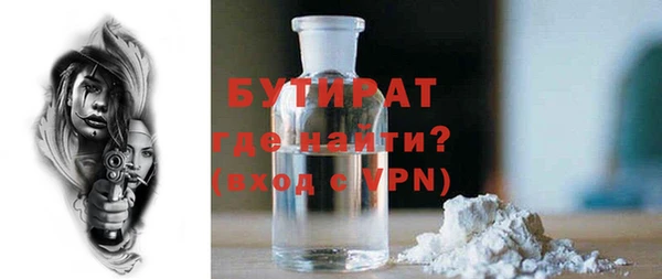 сатива Волоколамск