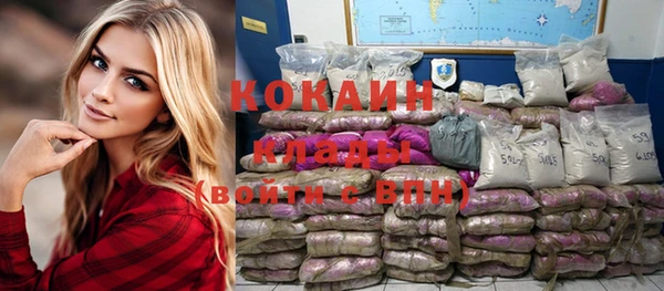 сатива Волоколамск